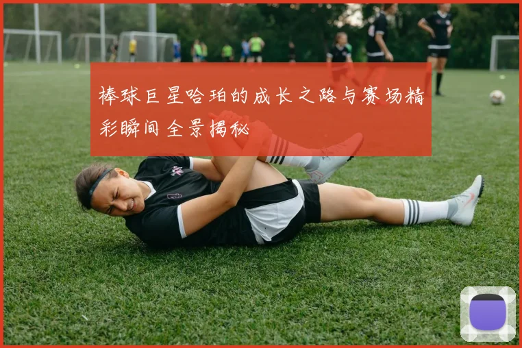 棒球巨星哈珀的成长之路与赛场精彩瞬间全景揭秘