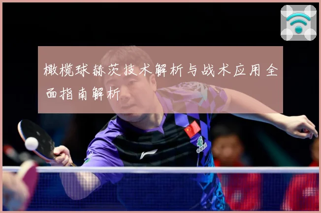 橄榄球赫茨技术解析与战术应用全面指南解析